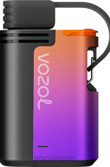 VOZOL Vape Flavours - VOZOL GEAR 4000c/6000 森のベリーの嵐 80486324