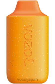 VOZOL Vape Flavours - VOZOL STAR 6000 パンプキンラテ 80486124