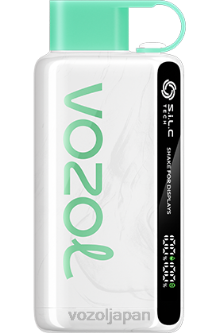 VOZOL Vape Flavours - VOZOL STAR 9000/12000 スイカ風船ガム 8048634